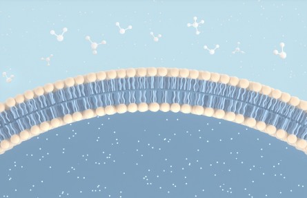 科技名词 | 静息电位  resting potential