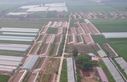 河北廊坊：多措并举保障北京市场蔬菜供应