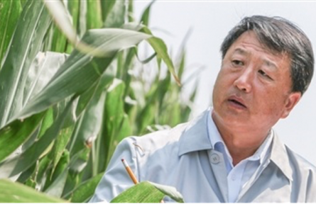 李登海：自学成才的玉米育种家