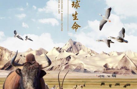 2022年国际生物多样性日宣传海报