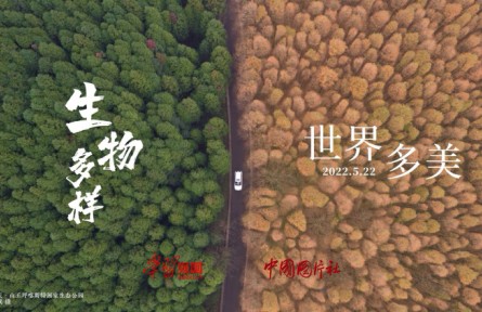 2022年国际生物多样性日：生物多样 世界多美