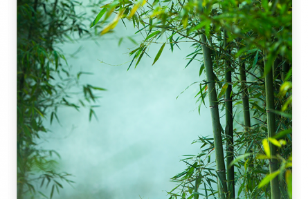 名言 | 孔子：君子坦荡荡，小人长戚戚