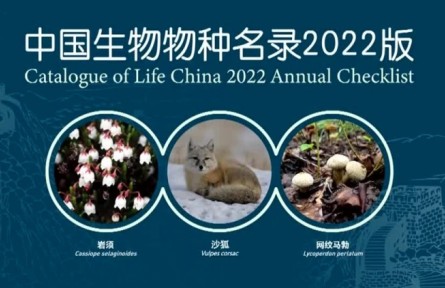 《中国生物物种名录》2022版发布 我国收录生物物种及种下单元数量显著增加