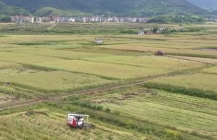 江西：强服务 抢农时 收油菜种水稻