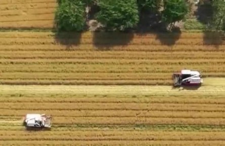 【在希望的田野上·三夏时节】我国夏收拉开序幕 大规模机收即将展开
