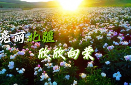 沿着总书记的足迹·内蒙古篇：亮丽北疆欣欣向荣