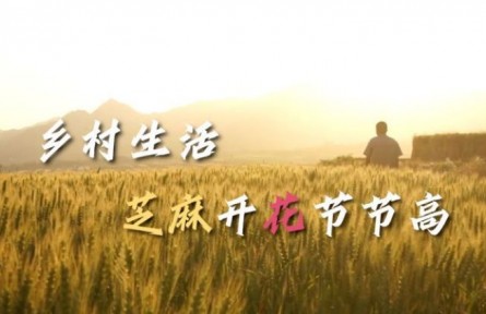 沿着总书记的足迹·山西篇：乡村生活芝麻开花节节高