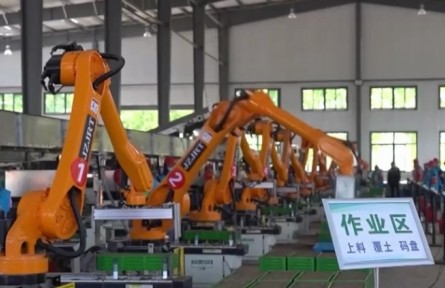 江苏：启用自动化育秧新基地 让水稻生产更高效