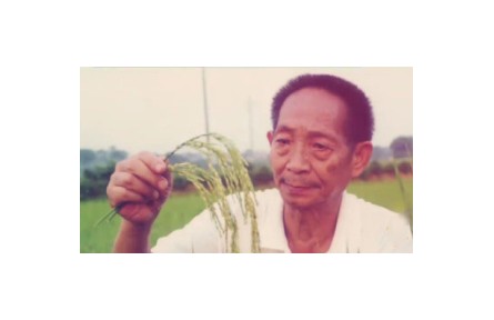 《杂交水稻之父袁隆平》系列视频