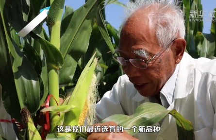 育种专家程相文：幸福是“育”出来的