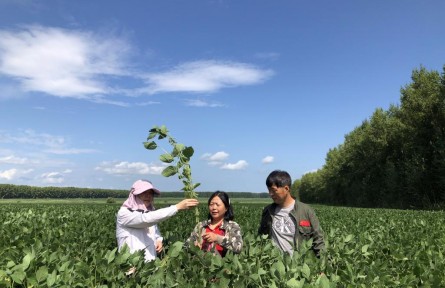 “豆大”的事儿，她一干就是37年