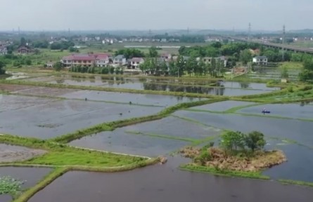 江西永修：因地制宜 推广稻虾综合种养模式