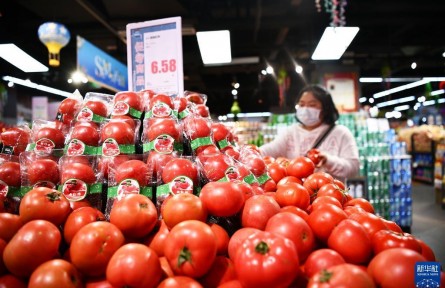 经济形势怎么看？稳就业、稳物价如何发力？——国家发展改革委回应经济热点