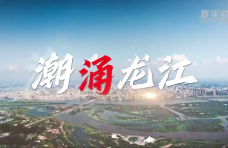 沿着总书记的足迹·黑龙江篇：奋力书写黑土地高质量发展新答卷