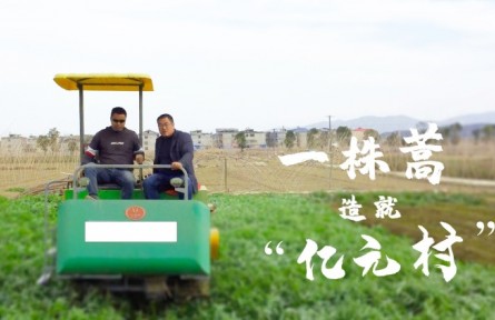 湖北阳新：一株蒿造就“亿元村”