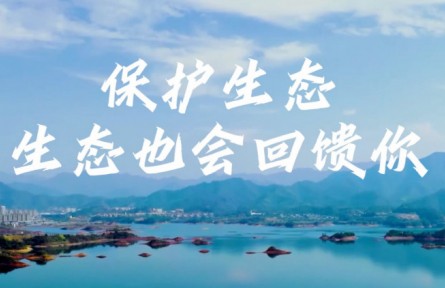 沿着总书记的足迹·浙江篇：保护生态 生态也会回馈你