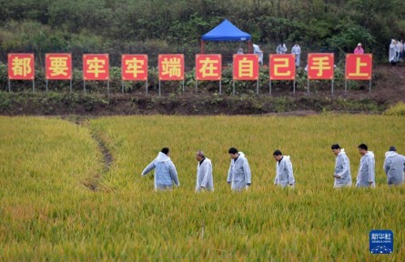 “国家科技创新力的根本源泉在于人”——习近平关心科技工作者的故事