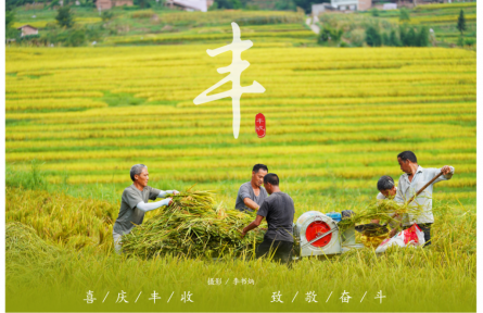 四川宜宾叙州区：丰收新时代