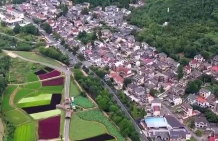 第51个世界环境日 浙江安吉：两片“叶子”撬动小山村的蝶变