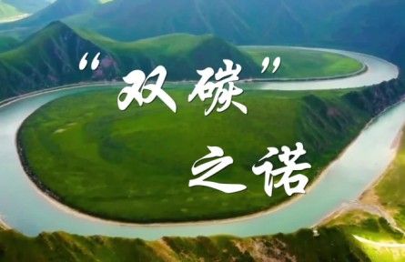 “双碳”之诺