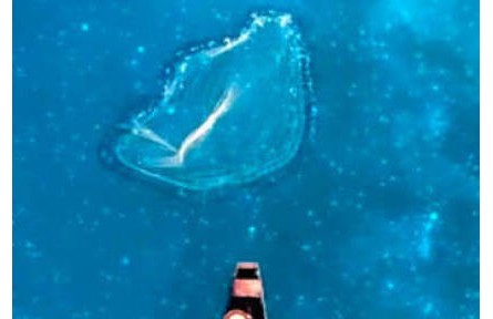 这样的山水，很中国