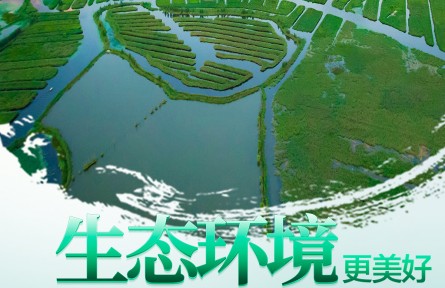 海报：2022年环境日
