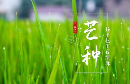芒种，昼出耘田夜绩麻