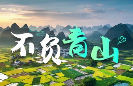 不负青山