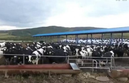 黑龙江：金融活水浇灌 助力农废变宝