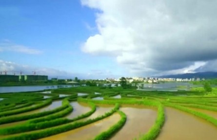 重庆：生态优先 绿色发展 加快建设山清水秀美丽之地