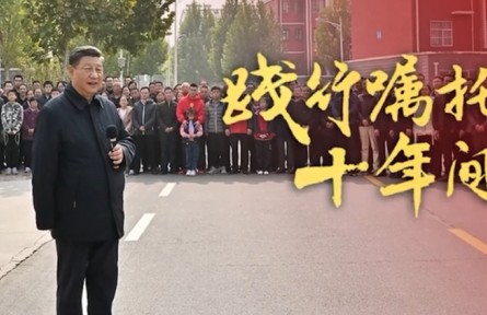 践行嘱托十年间|推动生态保护和高质量发展，让黄河成为造福人民的幸福河