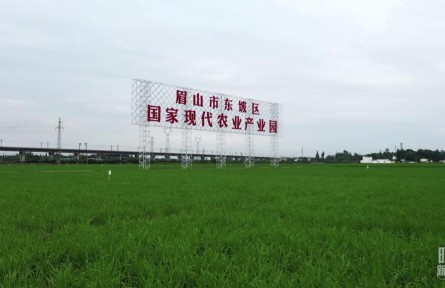 时政新闻眼 | 习近平再赴四川考察，在眉山重点关注了什么？