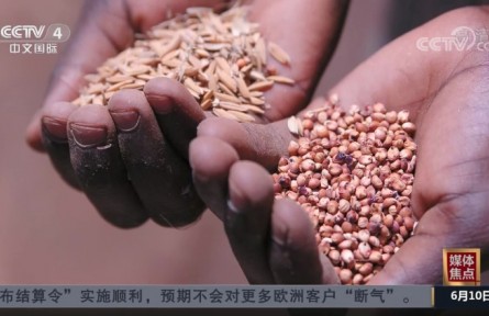 俄乌冲突加剧全球粮食危机