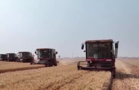 【在希望的田野上·三夏时节】我国小麦收获过七成 夏种陆续展开