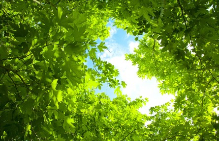 辟谣 | 消暑纳凉有哪些误区