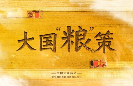 大国“粮”策