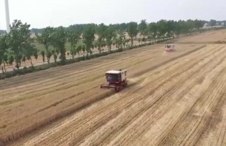 粮入库 2022年夏粮收购全面展开