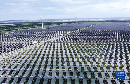 气候适应型社会 climate-resilient society
