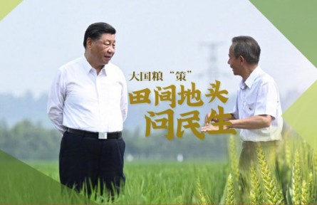 大国粮“策”|田间地头问民生