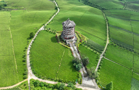 贵州遵义：飞阅“中国茶海”景区