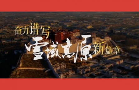沿着总书记的足迹·西藏篇：奋力谱写雪域高原新篇章
