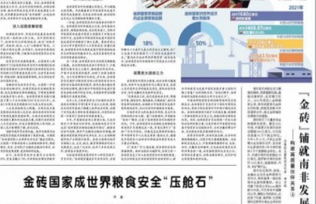 金砖国家成世界粮食安全“压舱石”