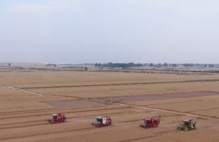 “科技范儿”贯穿小麦丰产丰收全链条