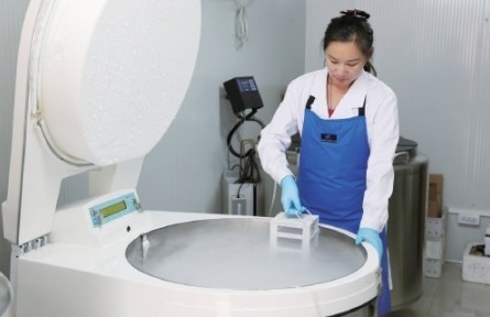 中国农科院育种专家解析粮食安全背后的科技“底气”