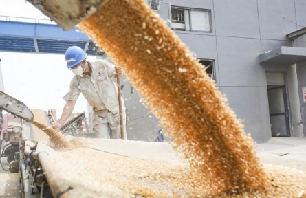 国家粮食和物资储备局：2022年夏粮收购进度加快