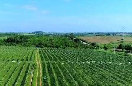 海南率先在全国推广博士科技农庄