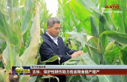 吉林：保护性耕作助力粮食稳产增产