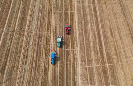 粮食主产区2022年夏种加快推进 进度过八成