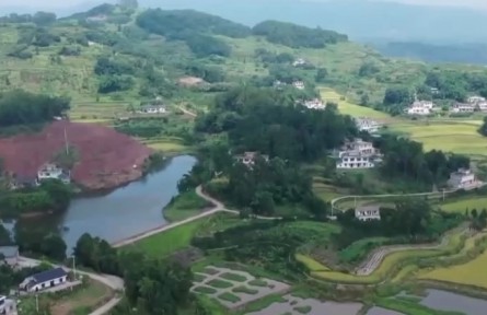 “中国这十年”系列主题新闻发布会举行 乡村产业发展取得明显成效