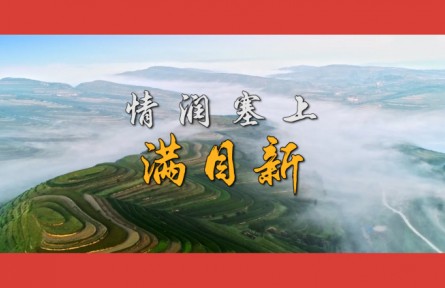 沿着总书记的足迹·宁夏篇：情润塞上满目新